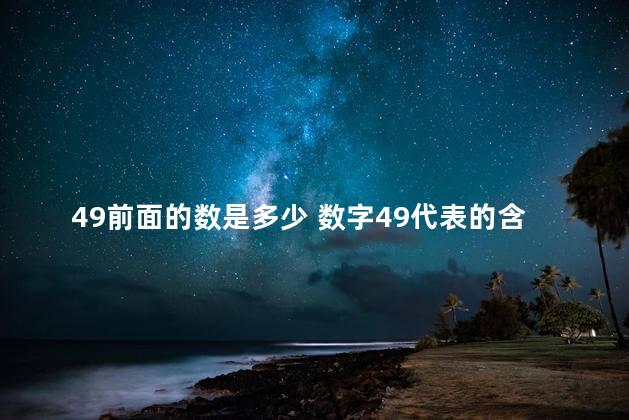 49前面的数是多少 数字49代表的含义